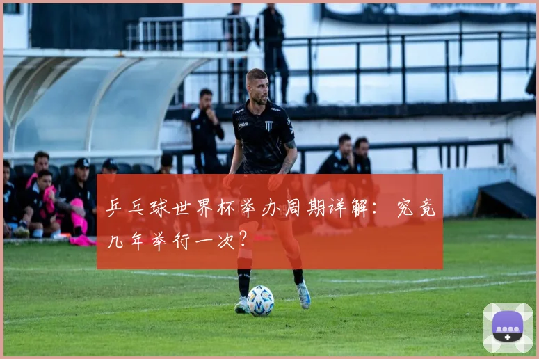 乒乓球世界杯举办周期详解:究竟几年举行一次?
