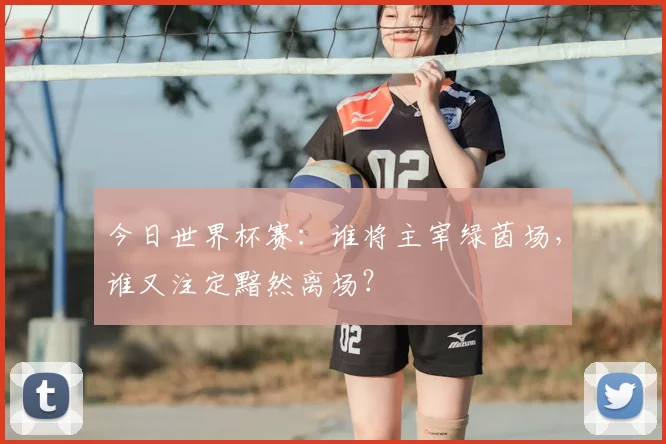 今日世界杯赛:谁将主宰绿茵场,谁又注定黯然离场?